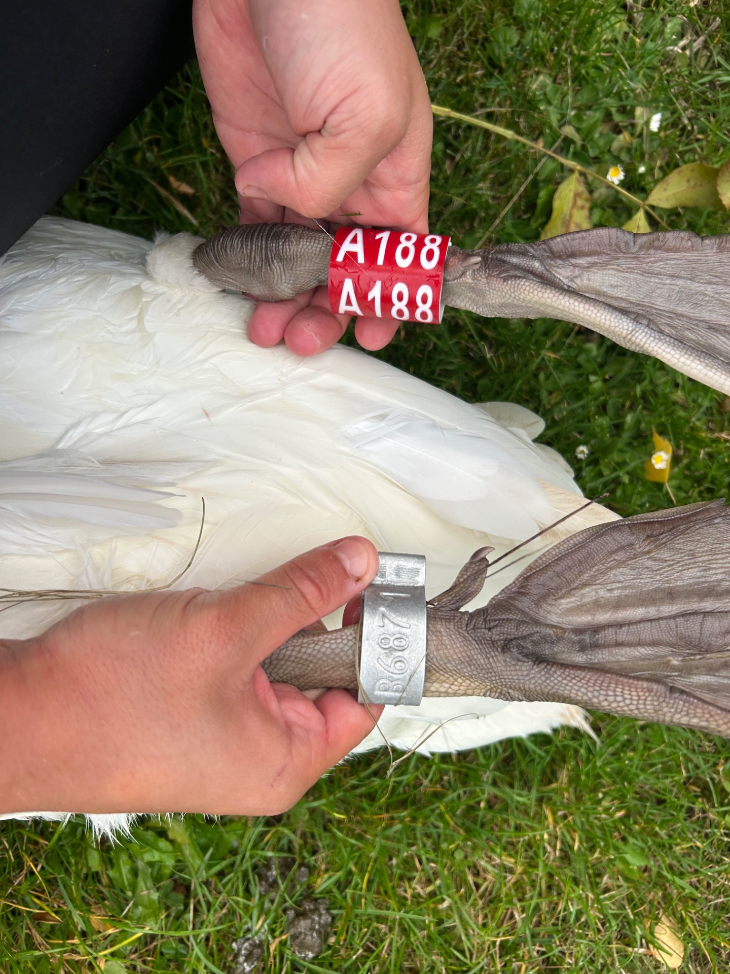 Projekt barevného značení probíhající od roku 2024