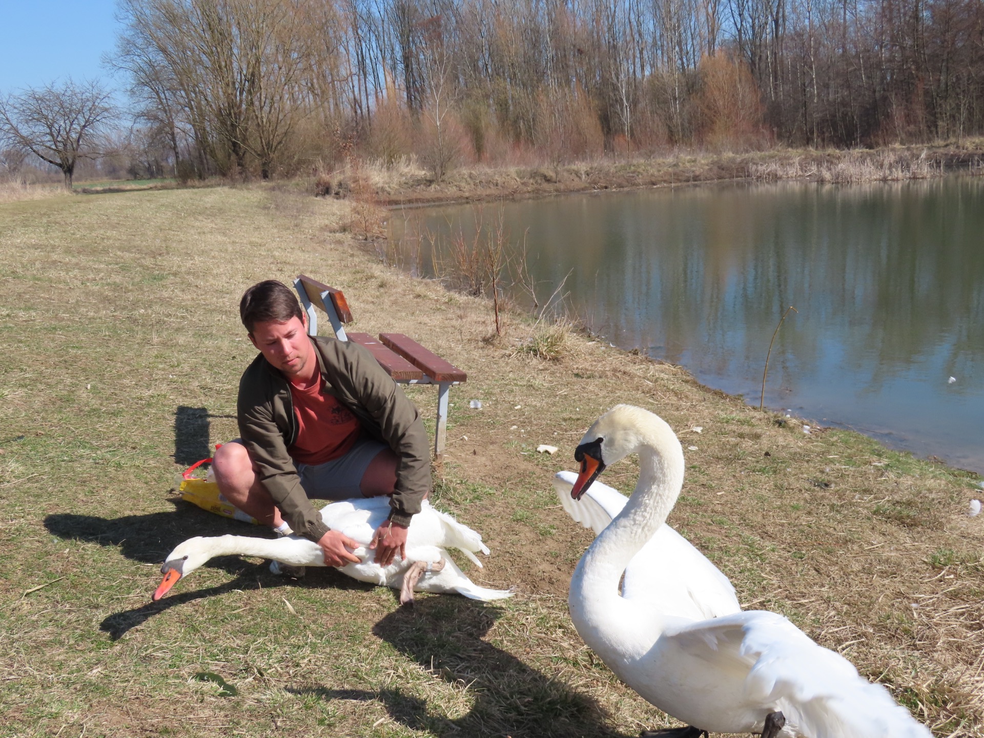 Kontrola a kroužkování