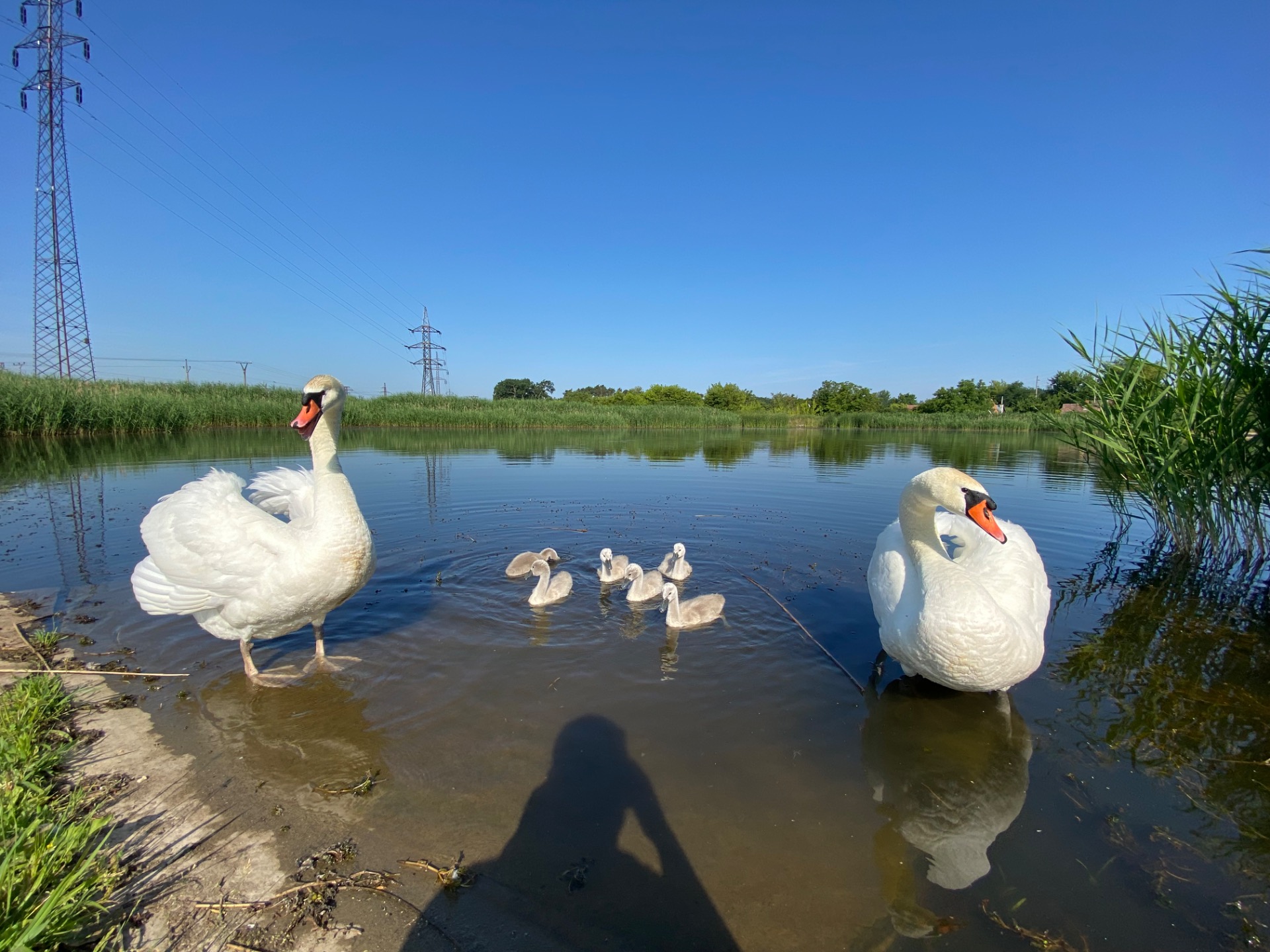 Celoroční kontroly rodin