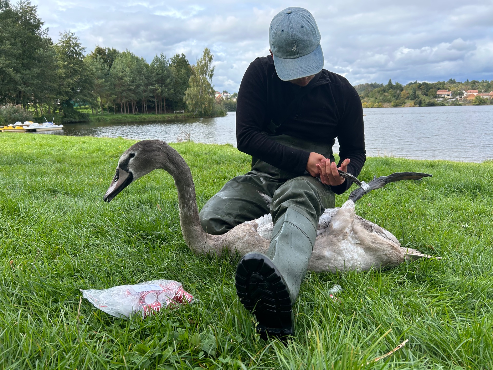 Kroužkování a vědecká činnost